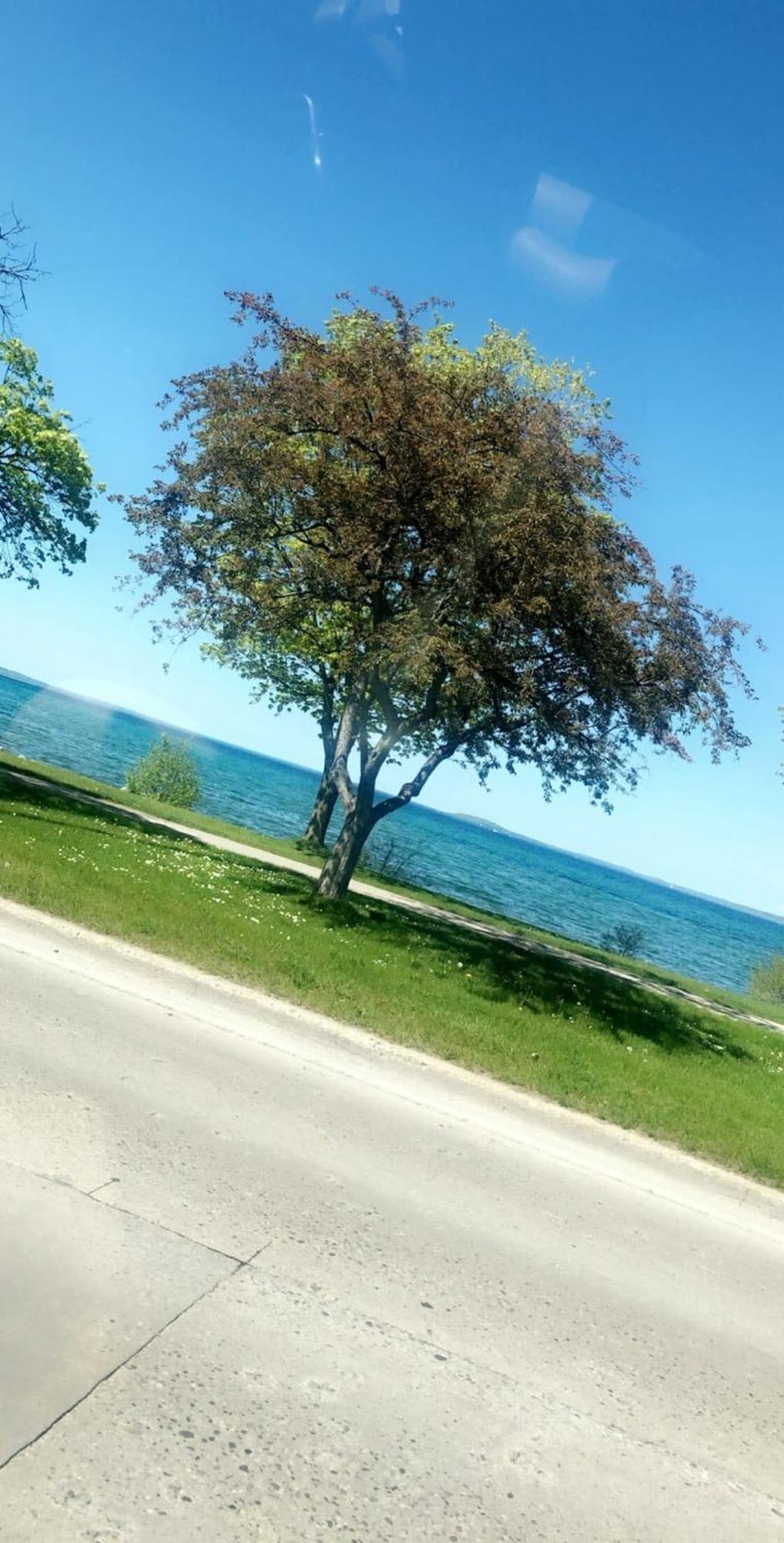 Location Location - Capri Condo 212 Traverse City Eksteriør billede